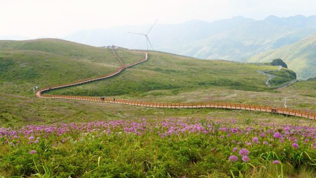 X31：“中国凉都”六盘水，磅礴乌蒙山消夏避暑--毕节、大韭菜坪-天上花海（3晚）、小韭菜坪-乌蒙之颠、乌蒙大草原（1晚）、回龙溪温泉度假区（1晚） 双飞7日 （6-10人小团）