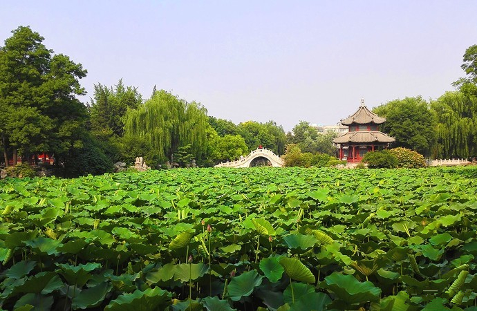 X34：京西南山水—石花洞国家地质公园、十渡风景名胜区、野三坡（百里峡、百草畔国家森林公园）、易县（狼牙山、清西陵）、保定（满城汉墓、古莲花池、直隶总督署博物馆）、白洋淀（2晚） 汽车8日 （10-15人） 